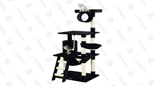 A Go Pet Club 62-Inch Cat Tree gives your cat plenty of room to play, nap, and perch.